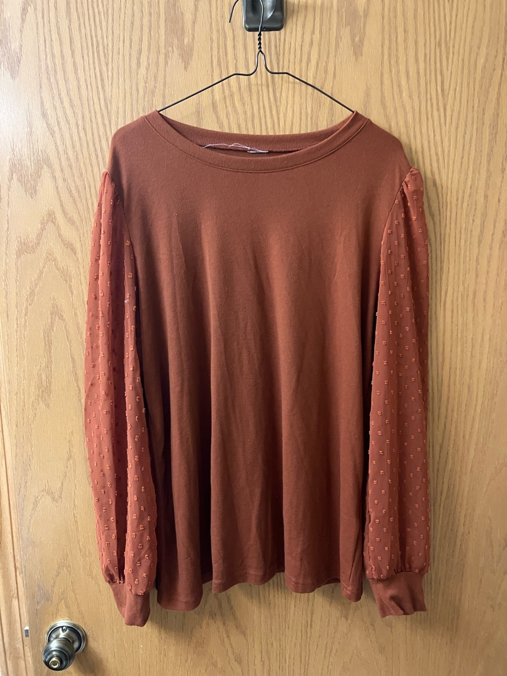 Rust Brown Long  Sleeve Top with sheer sleeves, size large